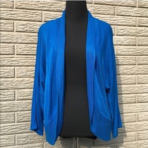 Host Pick! Beautiful Blue Sweater new with tags!